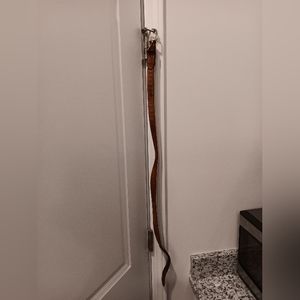 Fisherman belt from Topsail Beach size 34